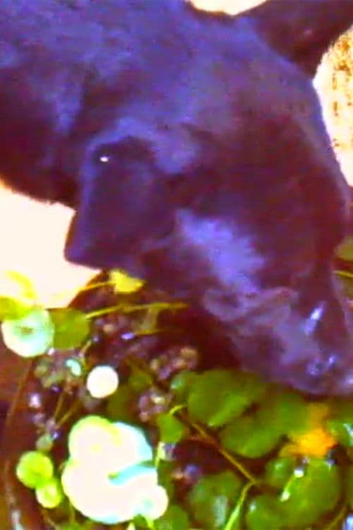 Freeform‘s Original Thanksgiving Movie, ”Turkey Drop”!